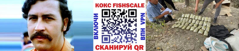 продажа наркотиков  Городовиковск  мега ТОР  COCAIN VHQ 
