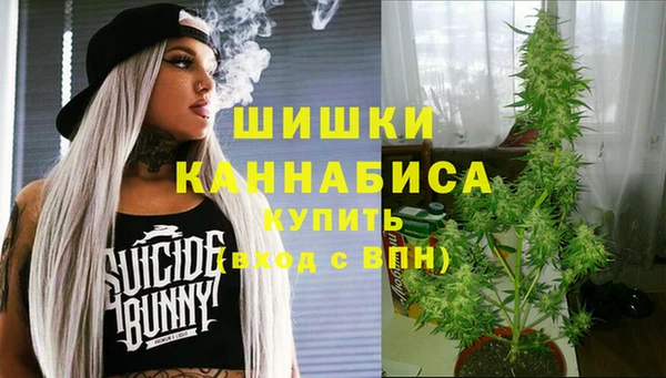 сатива Володарск