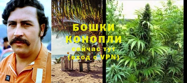 сатива Володарск