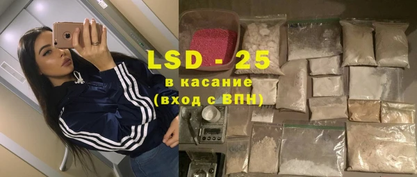 сатива Володарск